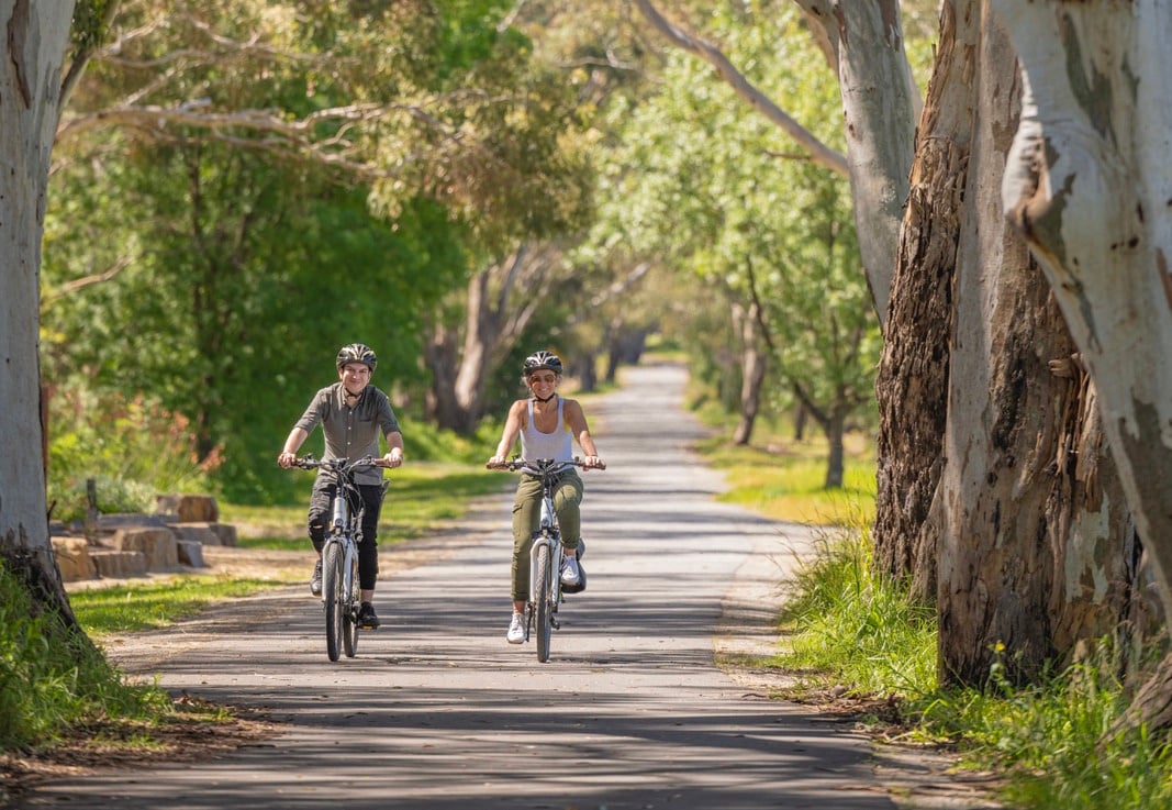 two people riding ebikes down a road lined with trees