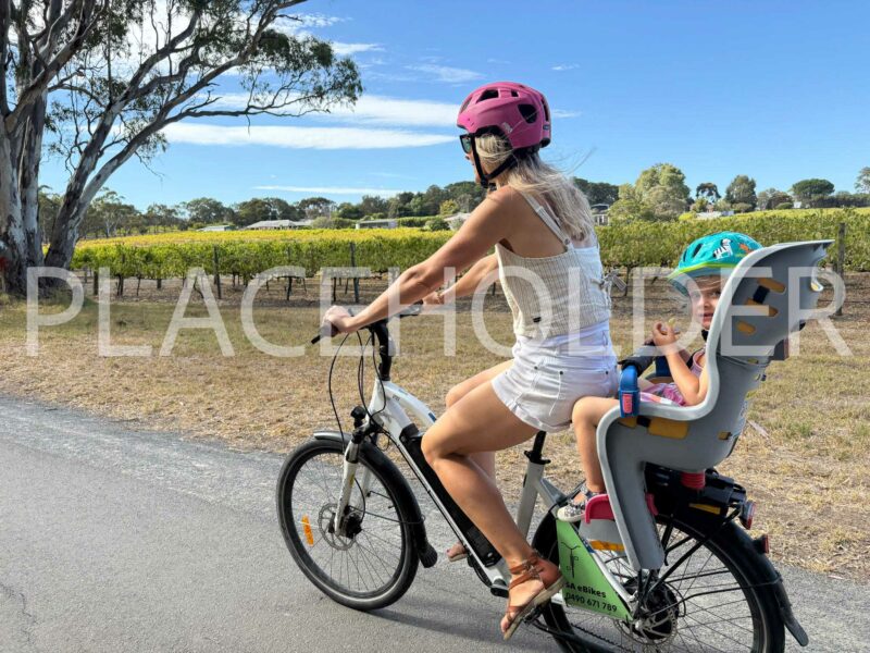 SA EBikes 20250709 213014 ACDB74