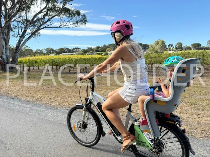 SA EBikes 20250709 213014 ACDB74