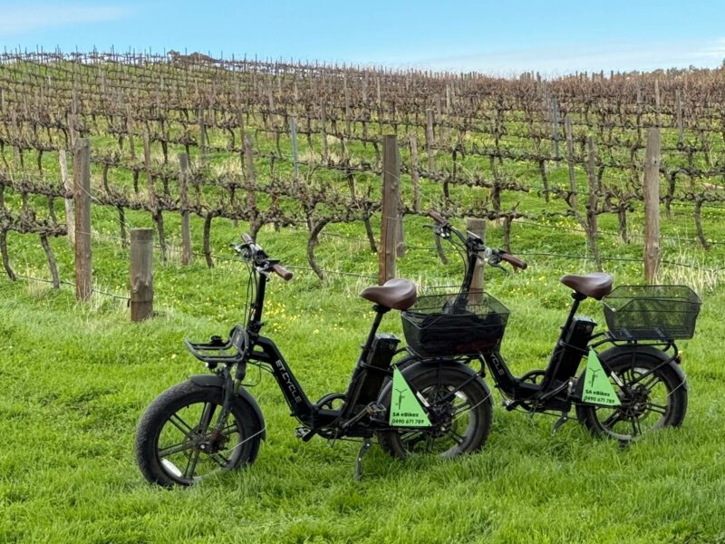 Two fat tyred, step through SA eBikes on grass with dormant rows of grapevines in the background