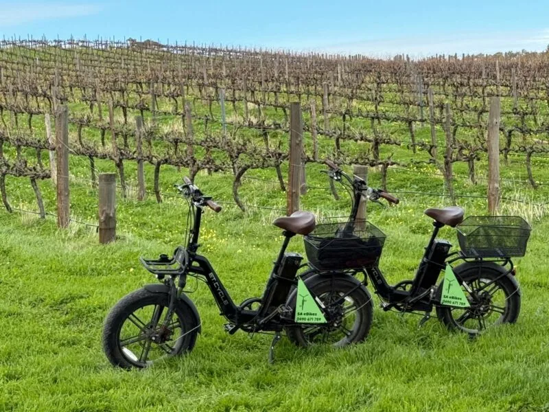 Two fat tyred, step through SA eBikes on grass with dormant rows of grapevines in the background