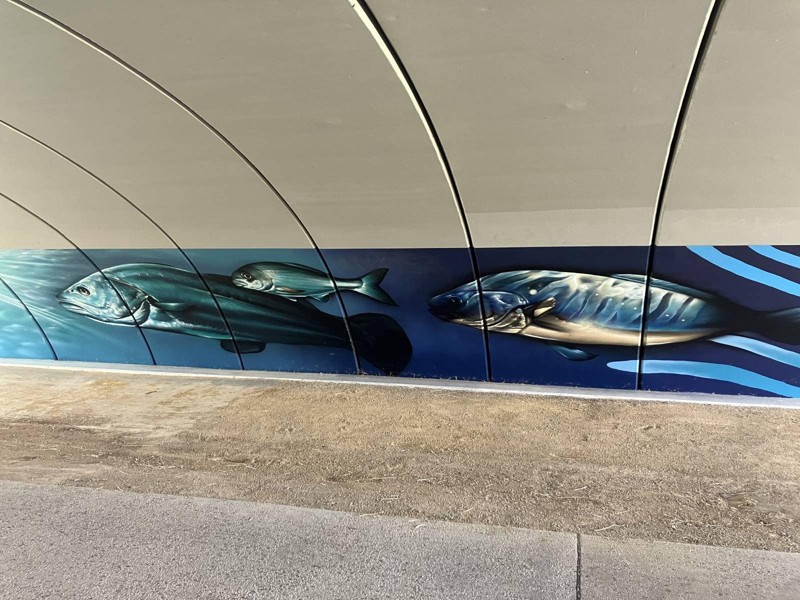 A mural of fish is painted on the under side wall of a concrete bridge