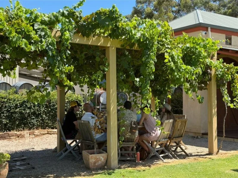A family seated at an outdoor table beneath a vine covered arbor at Hugo Winery, McLaren Vale
