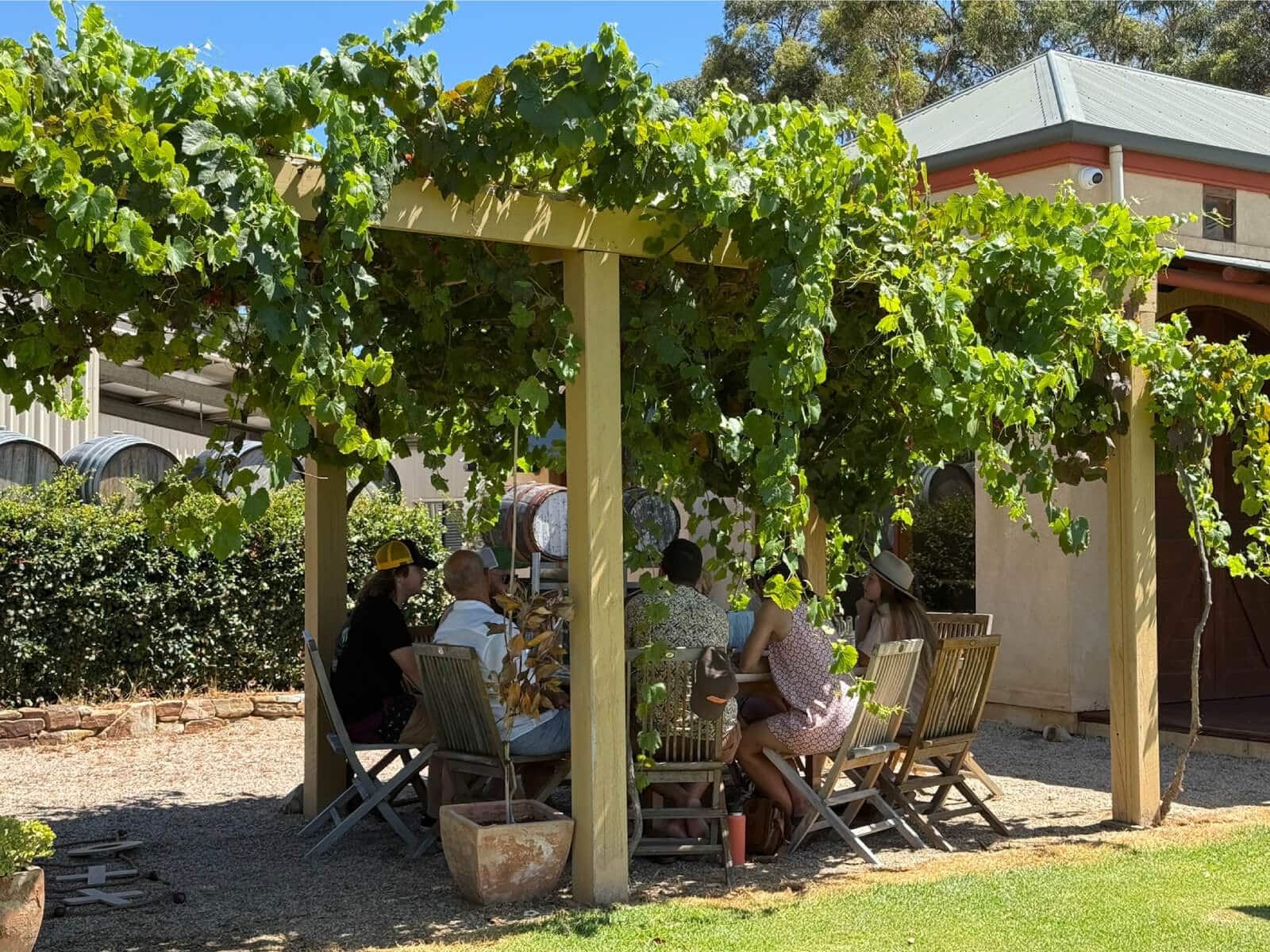 A family seated at an outdoor table beneath a vine covered arbor at Hugo Winery, McLaren Vale
