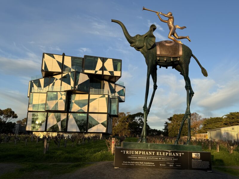 D'Arenberg Cube, and Dali sculpture of an elephant