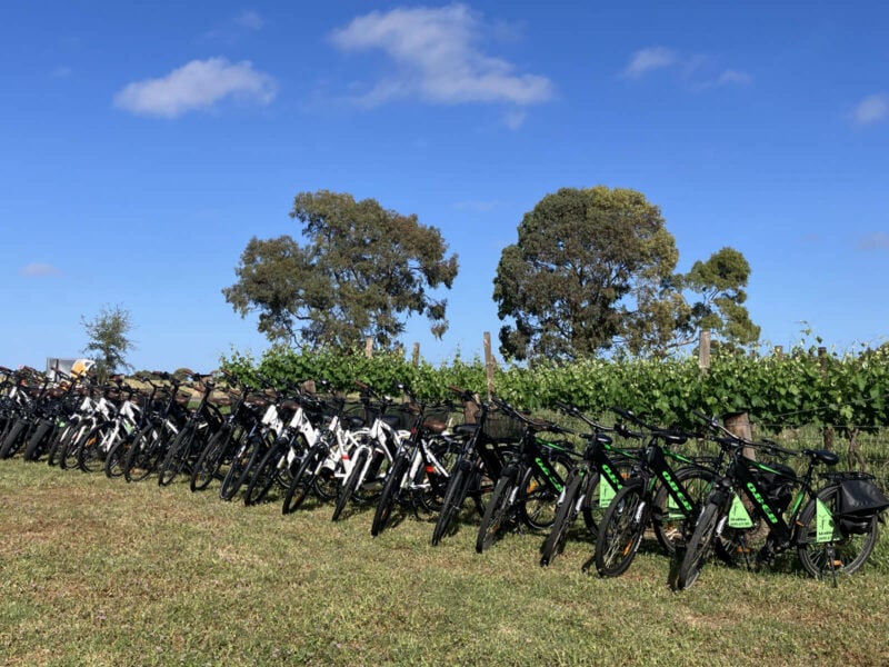 Twenty eBikes lined up in front of grapevines at the McLaren Vale Visitor Information Centre