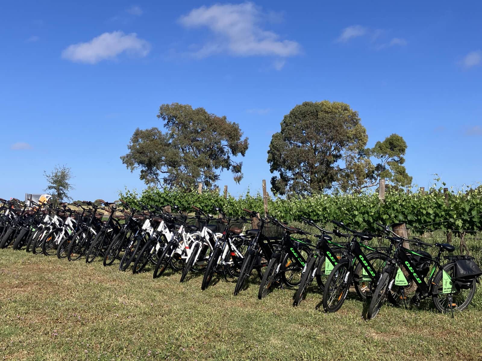 Twenty eBikes lined up in front of grapevines at the McLaren Vale Visitor Information Centre