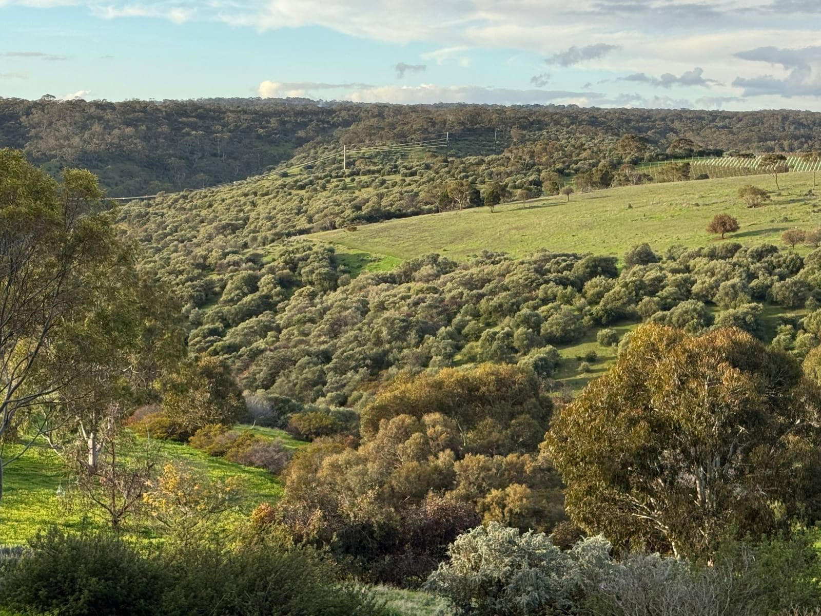View over Onkaparinga Gorge National Park
