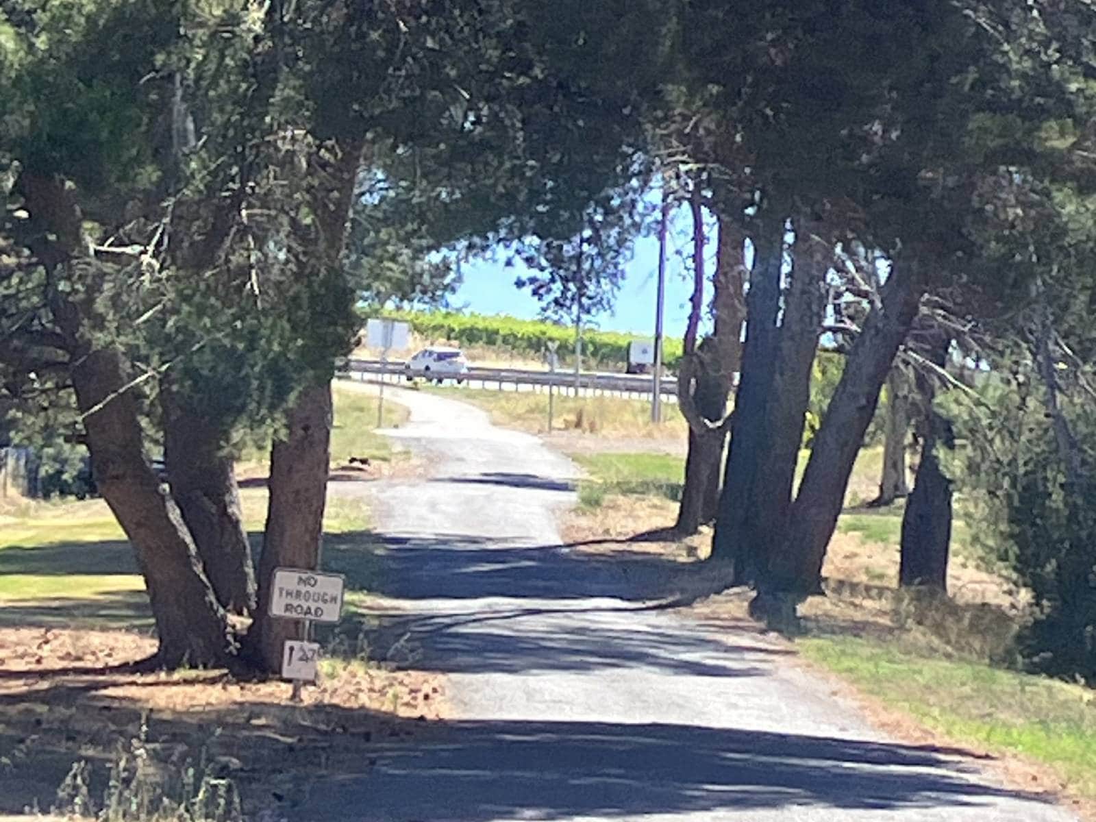 End Old Main Sth Rd At Biketrack
