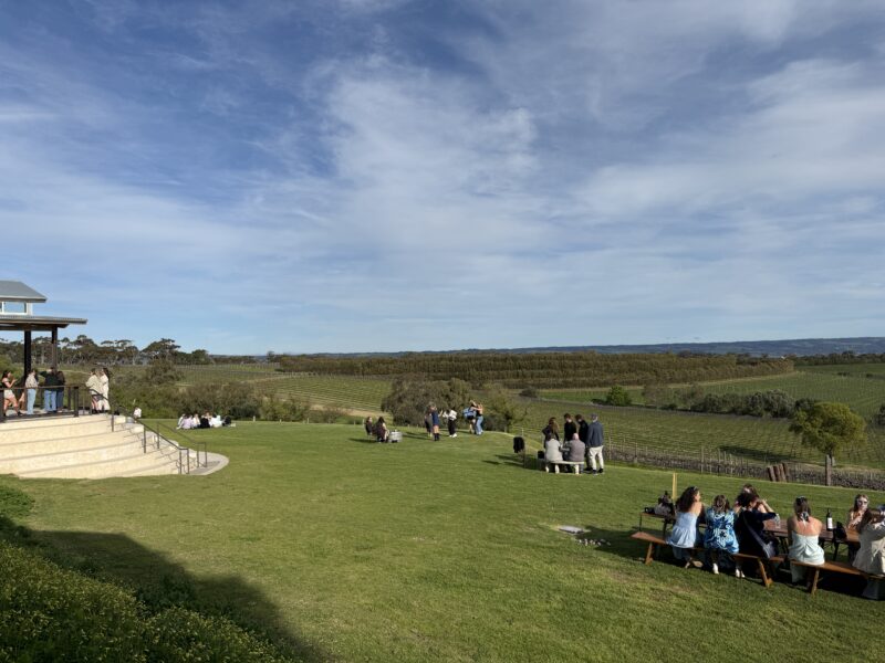 Groups enjoying picnics on the lawns at Dandelion Vineyards, McLaren Vale