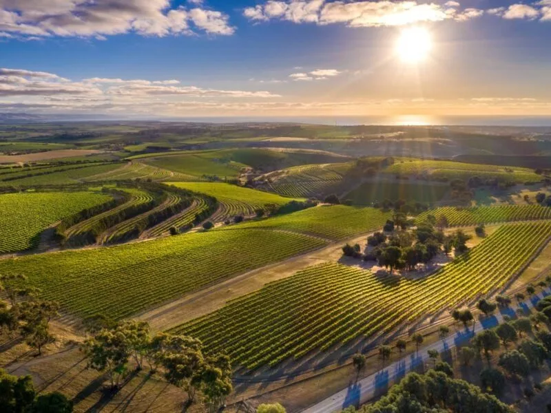 View over the McLaren Vale Wine Region