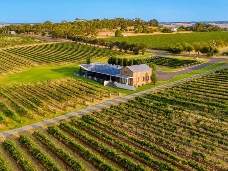 Angove cellar door aerial view