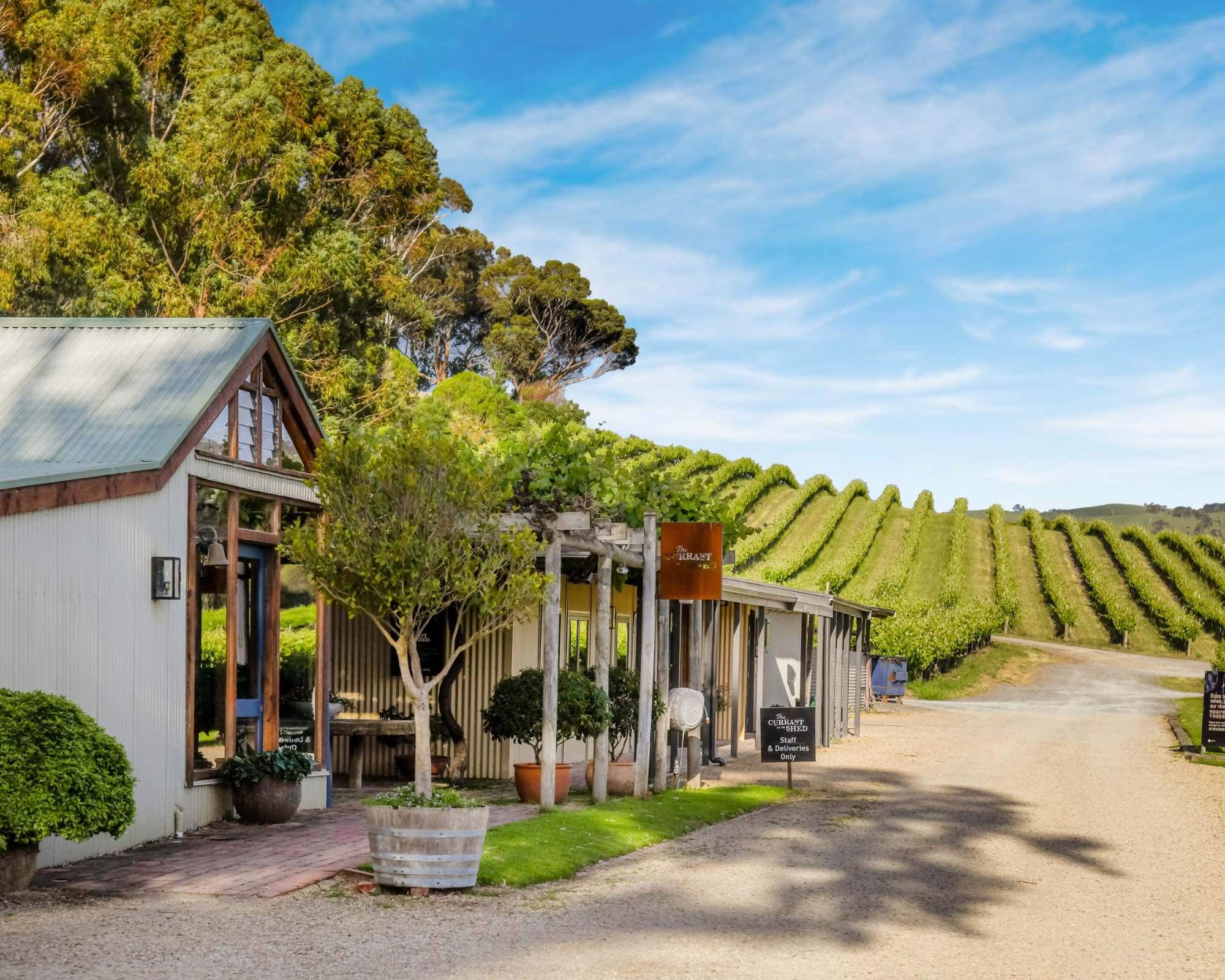The front of The Currant Shed Restaurant with vineyards in the background
