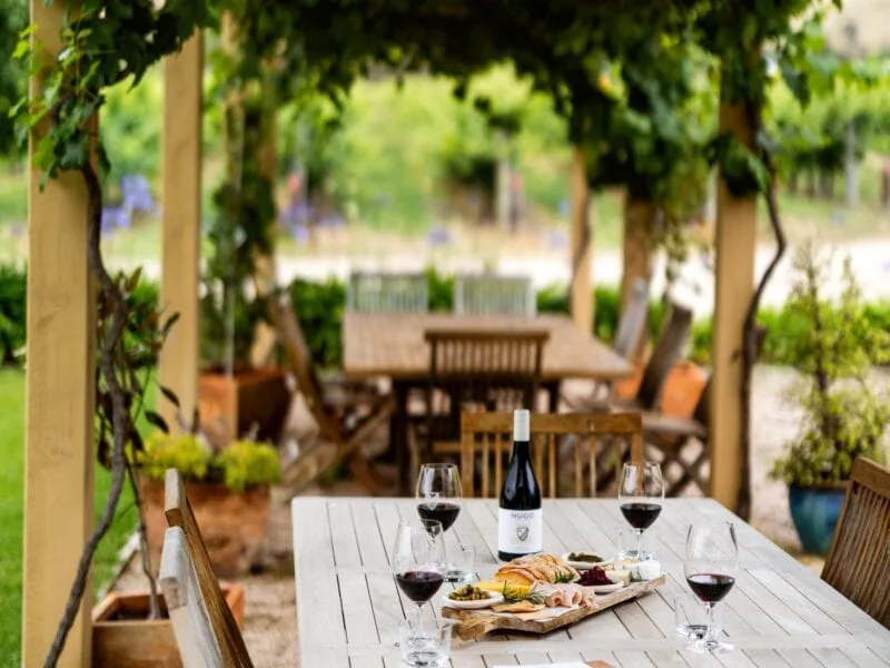 Glasses of red wine and a platter laid out on a table beneath the vine covered arbor at Hugo Wines