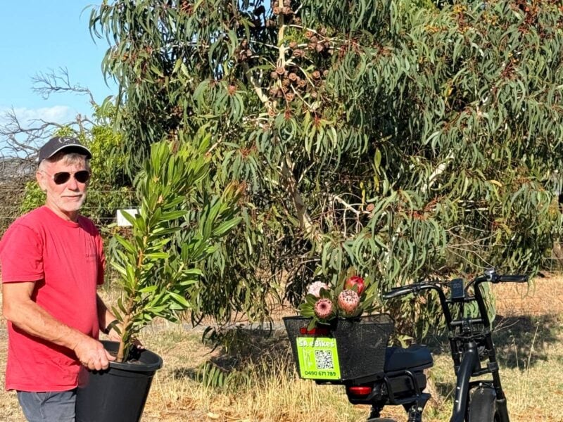 SA eBikes' owner, Shayne, standing beside an ebike and a gum tree whilst participating in SA eBikes' revegetation project.