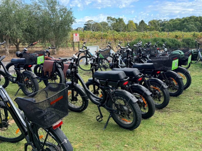 range of e-bikes including a row of surf culture step through models
